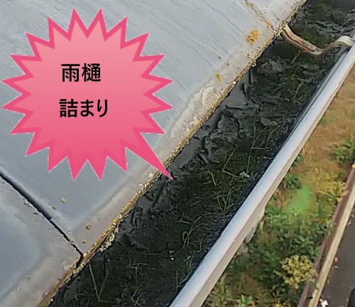 雨樋　土埃　詰まり